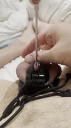 Rubbing my dick while in chastity and sounding.