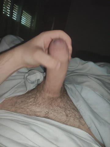 Heavy hitter morning wood. What do you guys think?