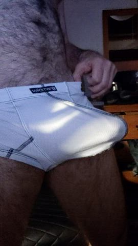 Big Dick Cock Underwear gif