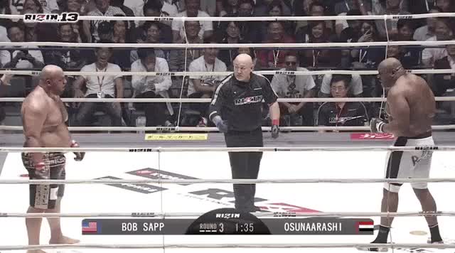 Bob Sapp vs. Osunaarashi (RIZIN 13)