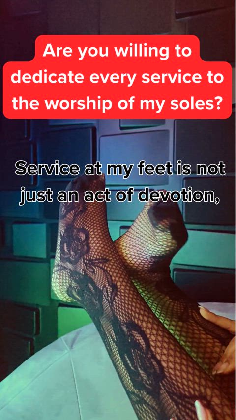 caption feet feet fetish master/slave slave foot-queen footslave-captions gif