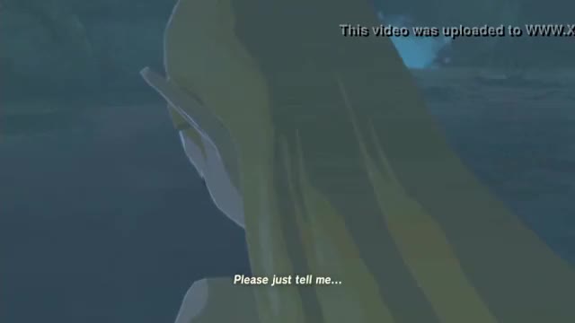 Zelda/Link