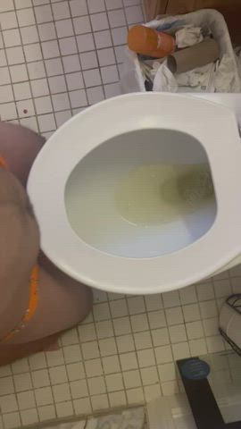 master/slave piss toilet gif