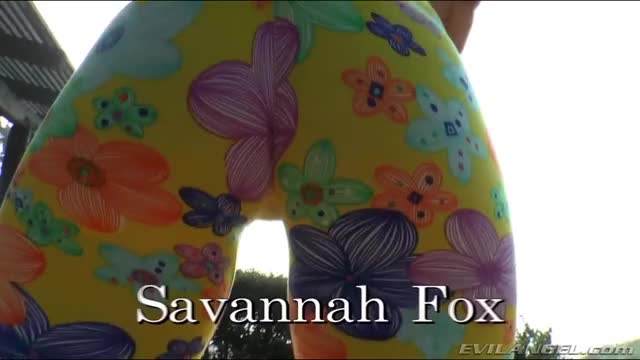 Savannah Fox 60fps