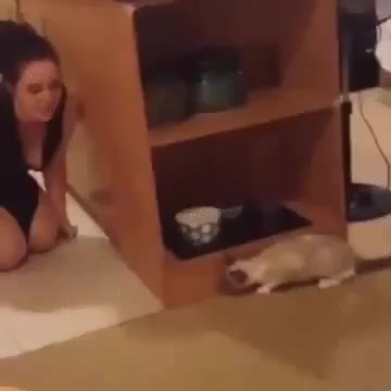 Kitty was NOT expecting that!