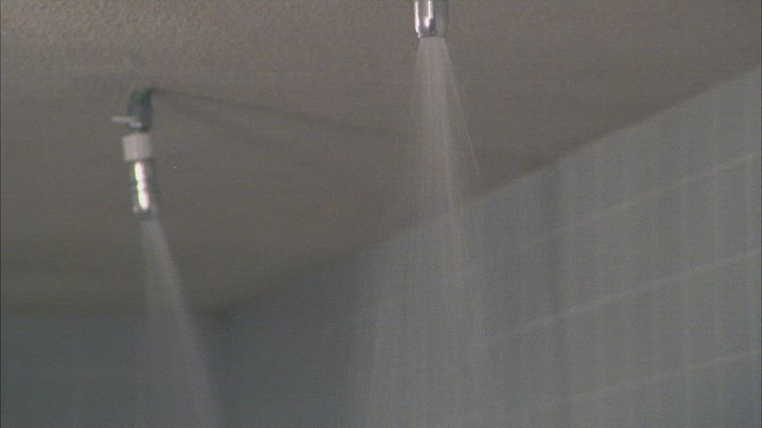 celebrity cinema nudity retro shower gif