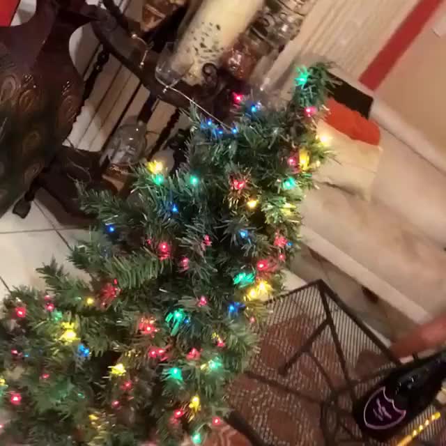 Christmas Twerk