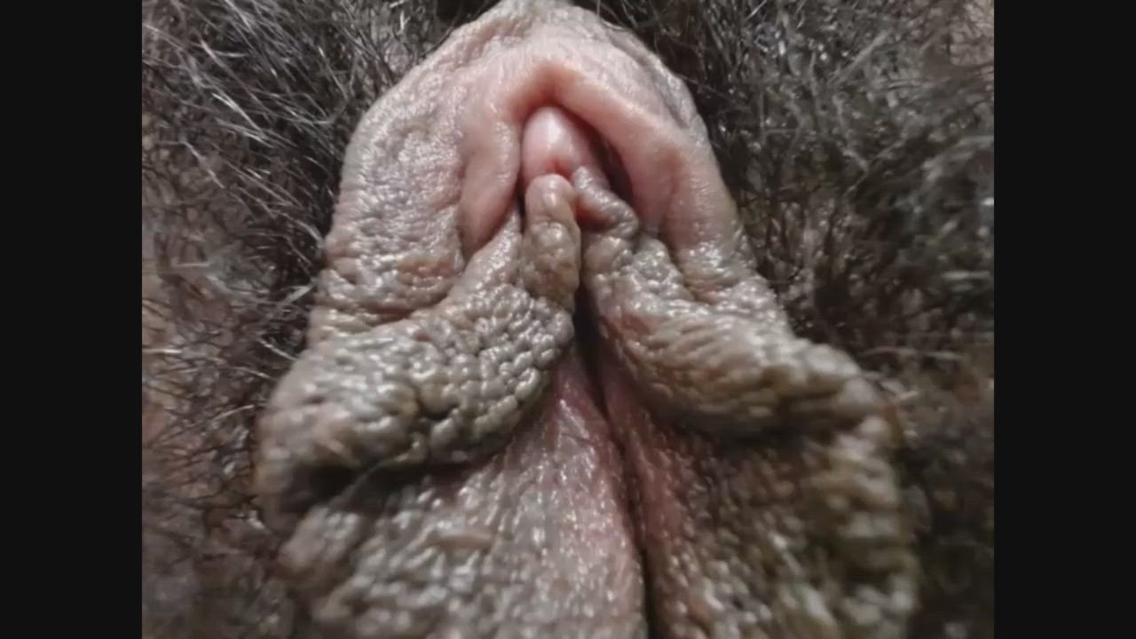 Amateur Hairy Hairy Pussy gif