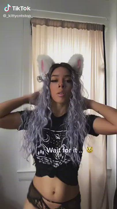 Kinky Kitty Kitty Goodess Thick TikTok gif