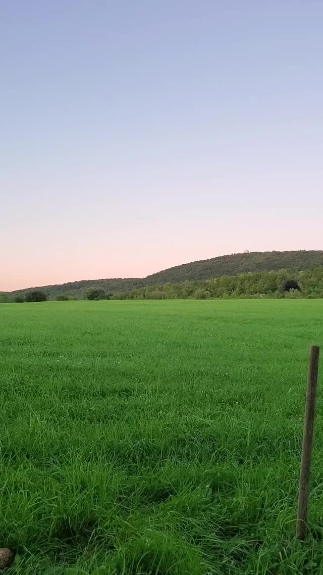 This fence won't build itself! Now, who wants to hold my post?