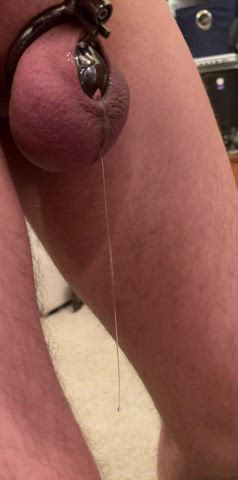 chastity gay precum twink twunk wet wet and messy gif