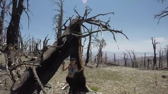 Hiking on Mount Charleston Las Vegas