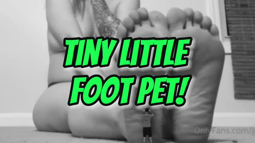 New 12 minute long giantess foot worship clip up on Onlyfans 🦶🏻