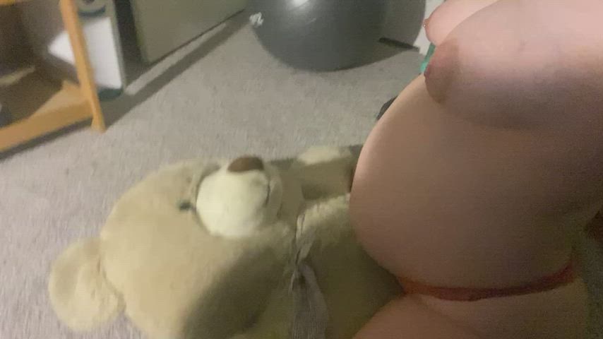 bear pregnant riding pregnant-porn gif
