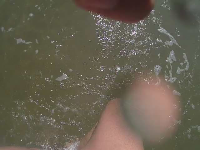 Beach gif