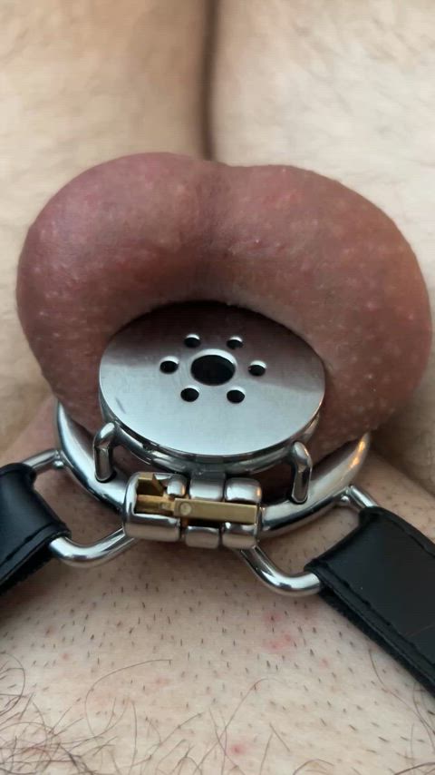 chastity slave throbbing microchastity gif