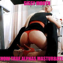 TRUE ALPHAS USE SISSIES