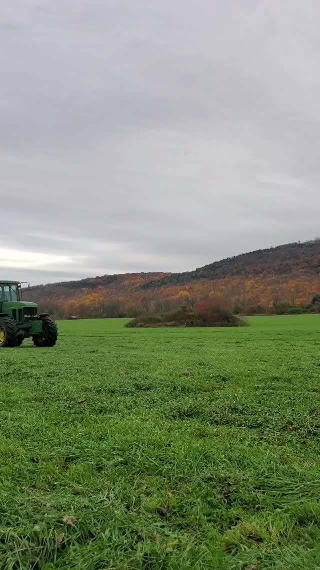 Do you think my tractor's sexy?