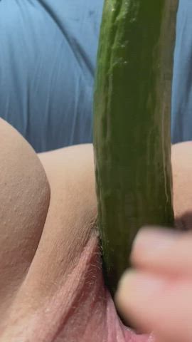 clit cucumber pussy pussy spread gif
