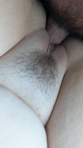 amateur chubby cock moaning pussy pussy spread gif