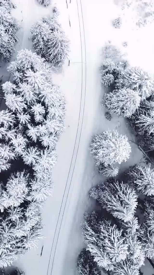 Snow Train