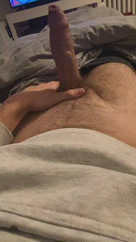 (21, bi) Way too horny, DMs open