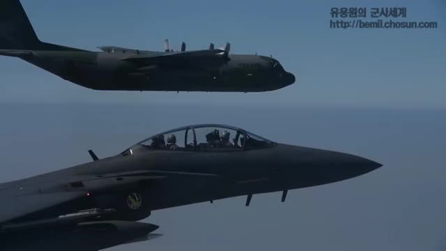 ROKAF pilots saluting 