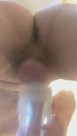 daily milking