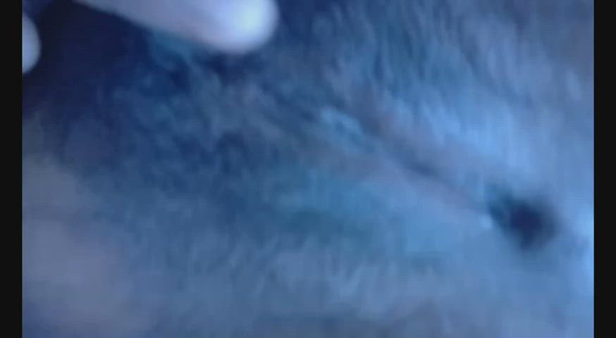 asian chubby hairy pussy indonesian gif