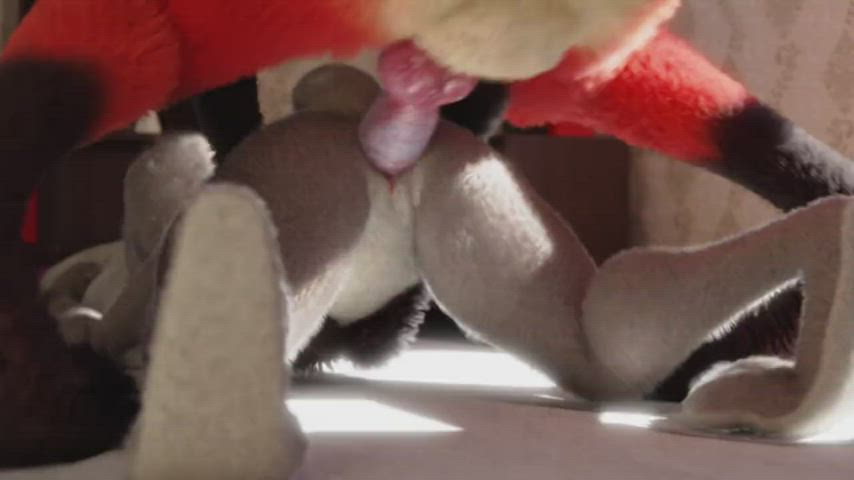 Animation Bunny Doggystyle Sex gif