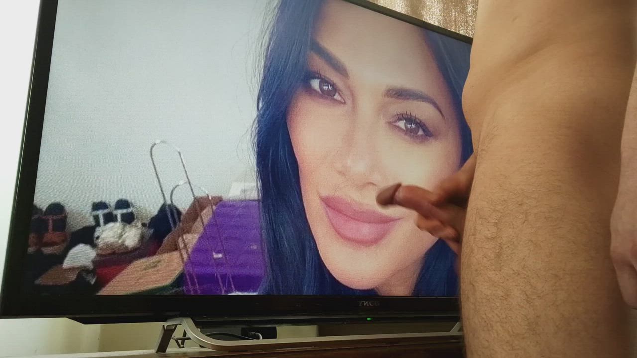 Big Dick Celebrity Cum Cum In Mouth Cumshot Facial Jerk Off Nicole Scherzinger Polish