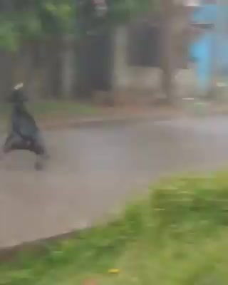 Doggo trying to eat the rain