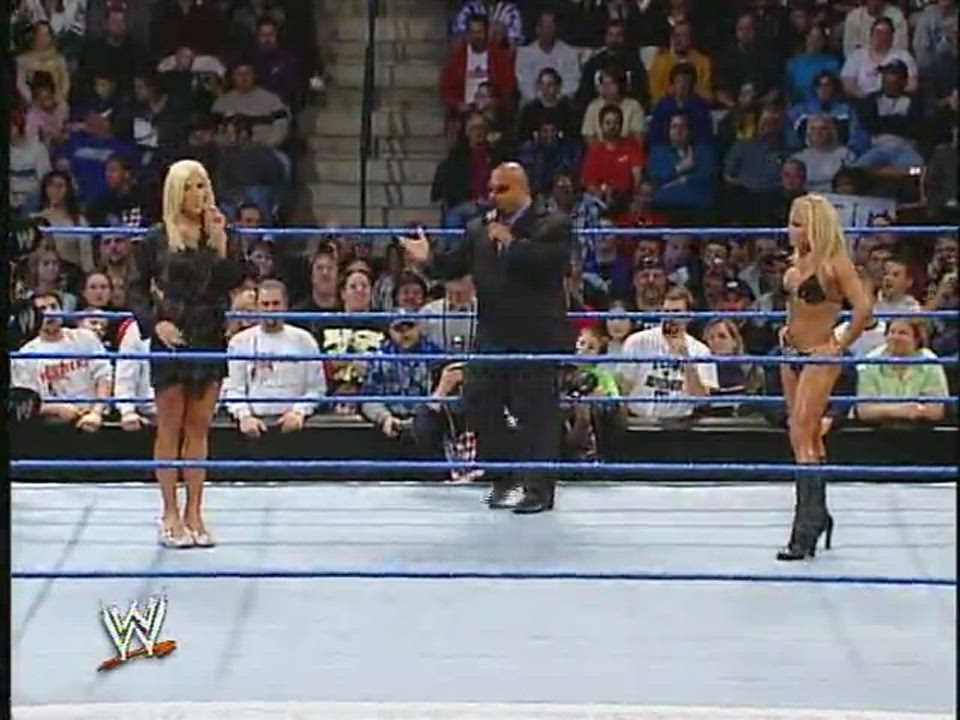 Bikini Torrie Wilson Trish Stratus gif