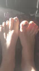 Feet Feet Fetish Toes gif