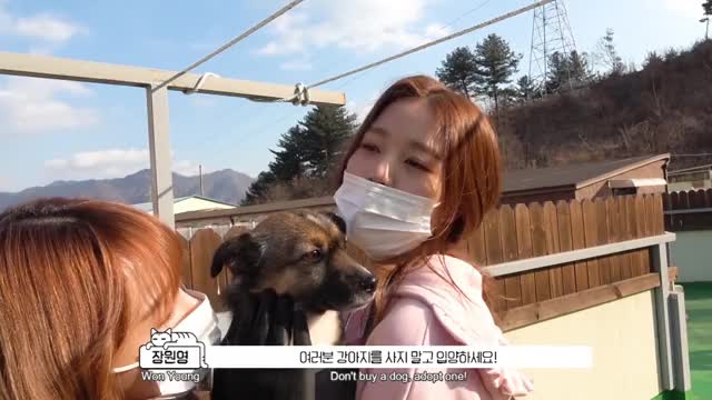 190130 추운 겨울도 따뜻하게 만든 IZ-ONE(아이즈원)의 유기동물