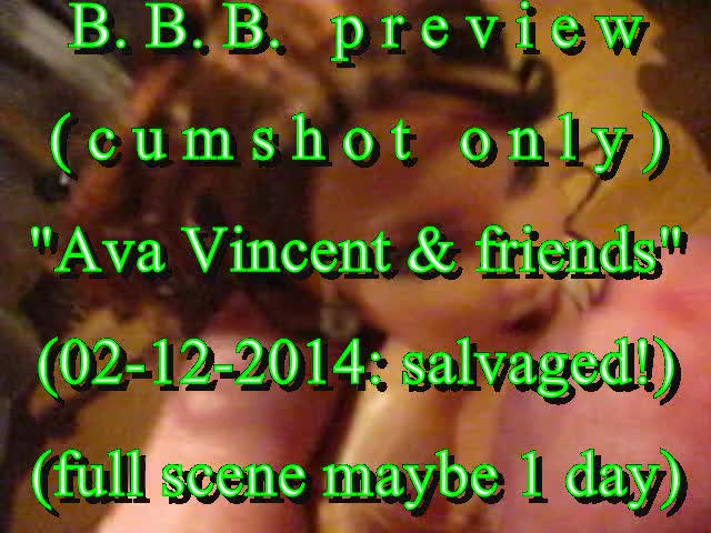 preV-CR4 AvaVincent&Friends (02-12-2014)