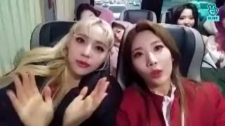 V LIVE - [이달의 소녀] Butterfly 막방 퇴근길 3