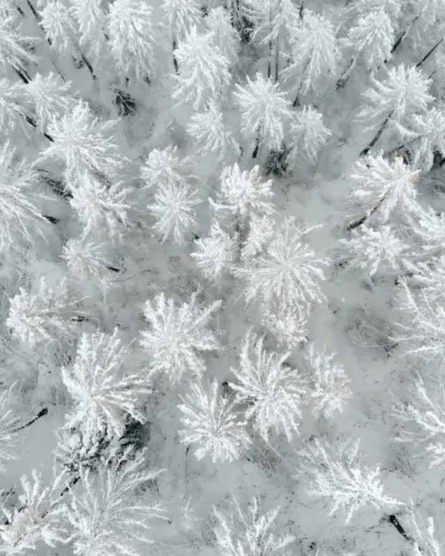 Un début de saison prometteur... Les chutes de neige d'hier soir et de ce matin