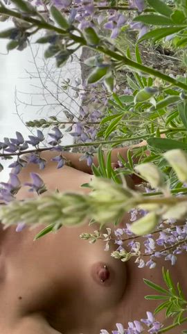 Enjoying the beautiful lupine