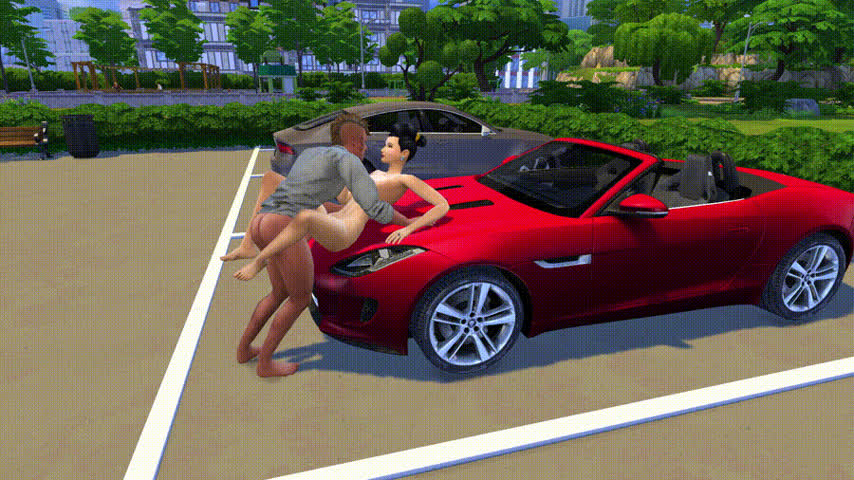 Car Sex gif