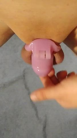 chastity femboy sissy slut gif