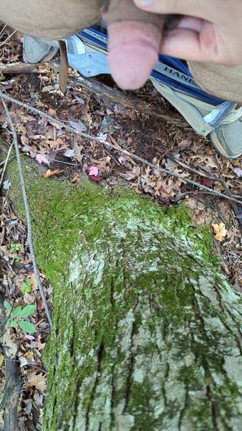 Marked a Tree and Myself