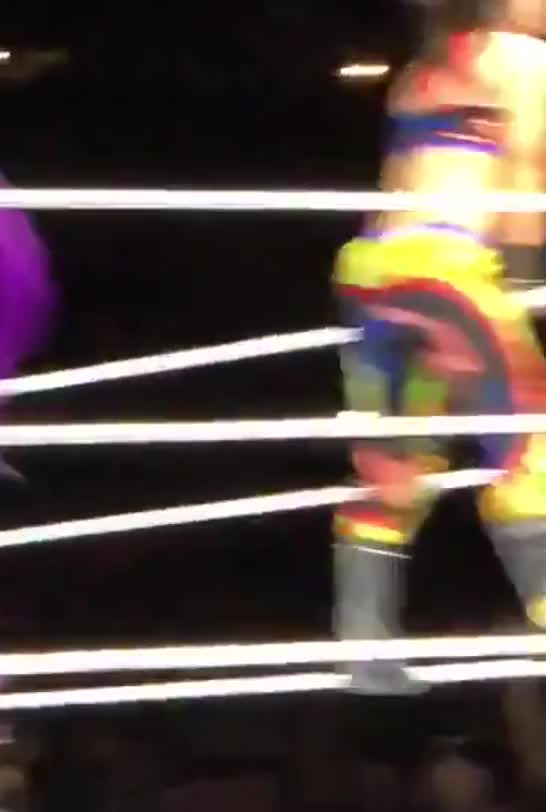 Bayley1