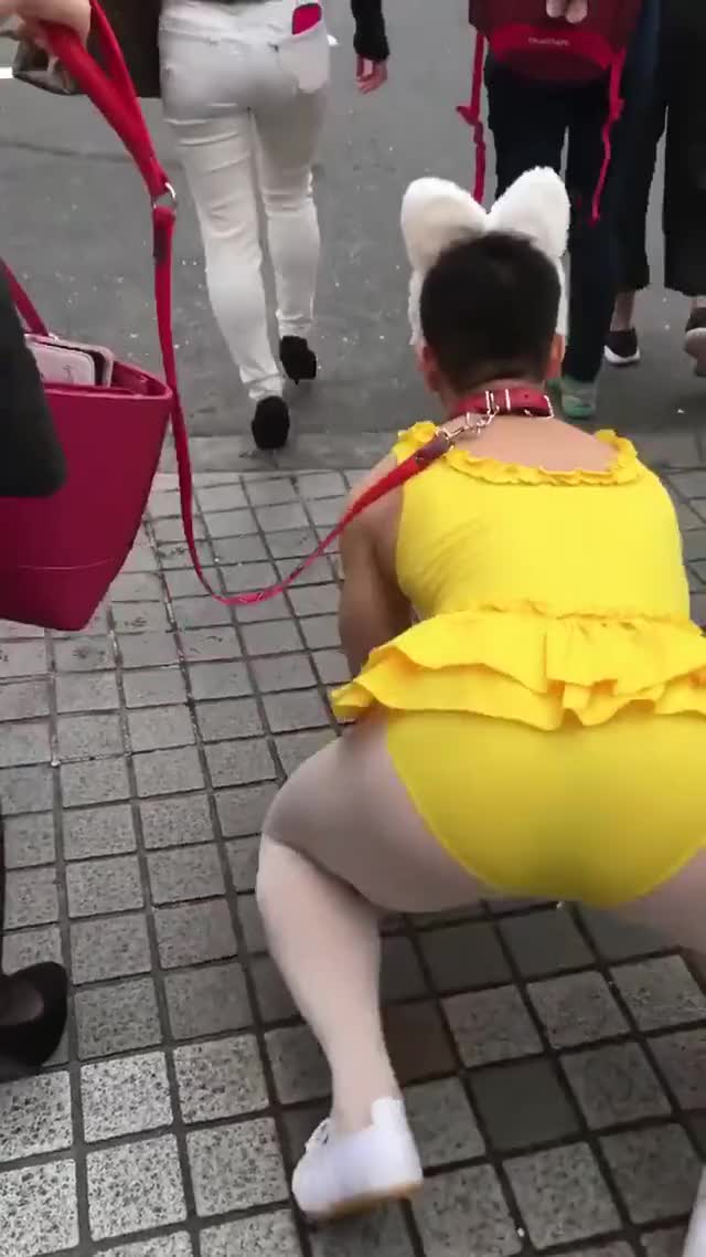 Just a normal doggo wearing a cute yellow leotard