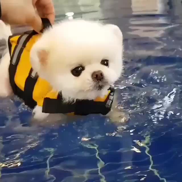 Look at him go!