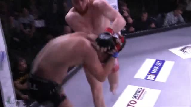 Hazbi Edelbiev vs. Michal Orkowski - DFN 5