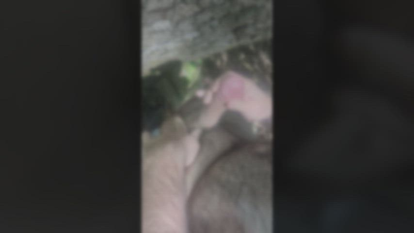 amateur big dick cumshot hairy chest jerk off outdoor solo gif