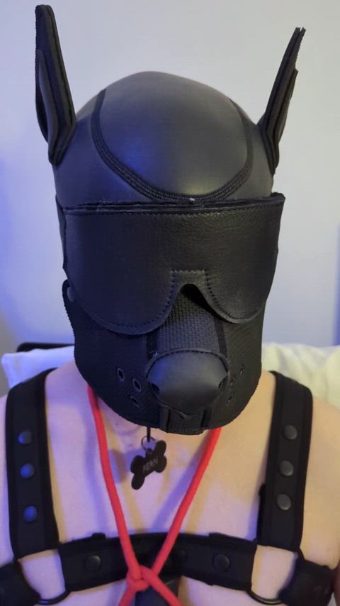 bound & caged puppy forced to cum~