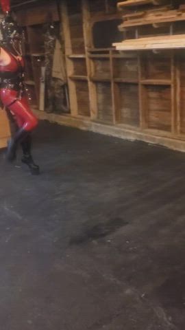 Ponygirl's first prance around the barn