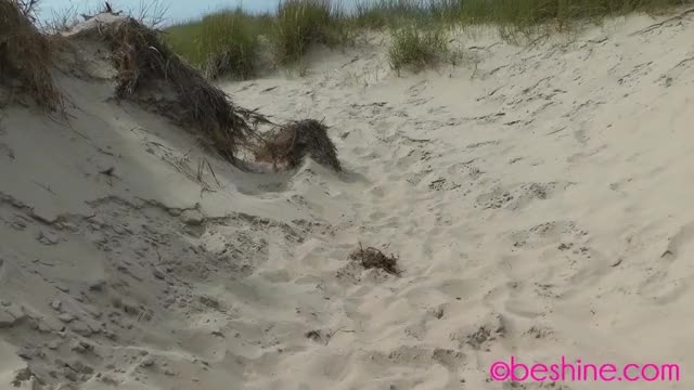 Just an average sexy lady on the beach